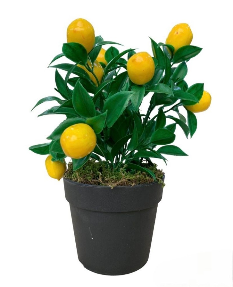 Citronnier Artificiel en Pot - Décoration Maison - Prix