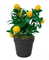 Citronnier Artificiel en Pot - Décoration Maison - Prix