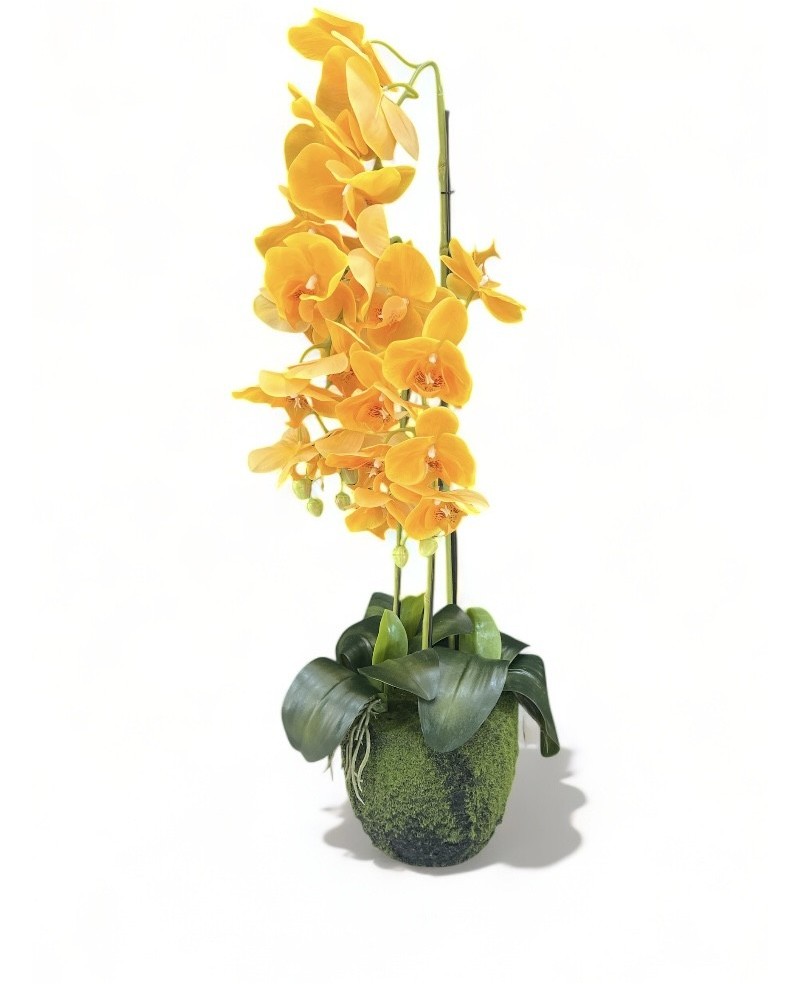 Orchidée Artificielle 74cm : Décoration Maison - Prix