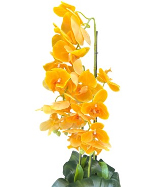 Orchidée Artificielle 74cm : Décoration Maison - Prix