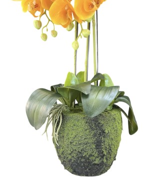 Orchidée Artificielle 74cm : Décoration Maison - Prix