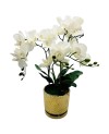 Orchidée Artificielle en Pot Céramique - Décoration Maison Prix