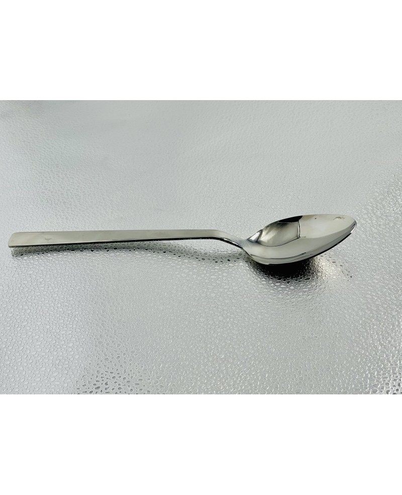 Grande Cuillère à servir en Inox