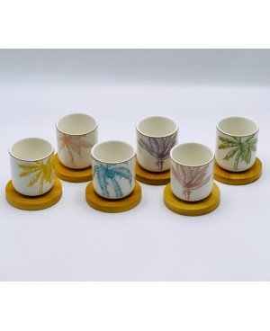 set de 6 tasses et sous tasses bambou - palm