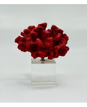  Bibelot Décoratif Corail Rouge