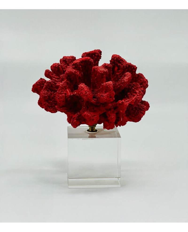 Bibelot Décoratif Corail Rouge