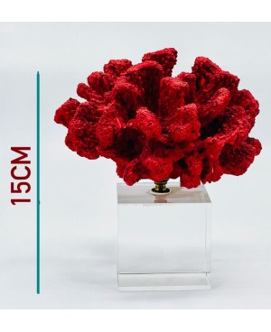 Bibelot Décoratif Corail Rouge
