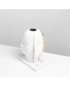 Vase Décoratif en Céramique Blanc et Doré