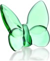 Papillon décoratif en verre Vert