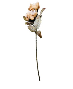 Fleur Artificielle  Marron - H 56cm
