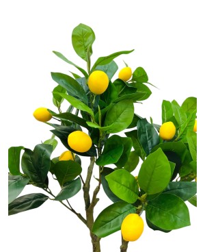 Citronnier Plante Artificielle - H  80cm