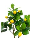 Citronnier Plante Artificielle - H  80cm
