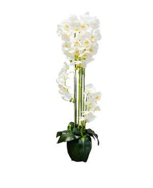  Orchidée Blanche Plante Artificielle - H 120cm