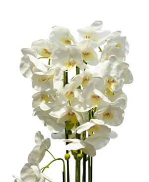 Orchidée Blanche Plante Artificielle - H 120cm