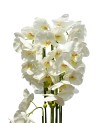 Orchidée Blanche Plante Artificielle - H 120cm