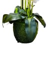 Orchidée Blanche Plante Artificielle - H 120cm