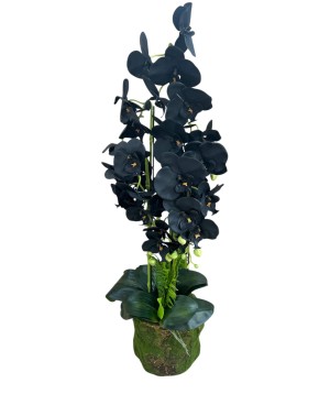  Orchidée Noire Plante Artificielle - H 95cm