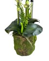 Orchidée Noire Plante Artificielle - H 95cm