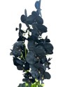 Orchidée Noire Plante Artificielle - H 95cm