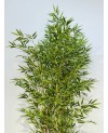 Arbre Artificiel Bambou - H 1.8m