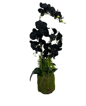  Orchidée Noire Plante Artificielle - H 80cm