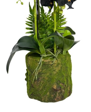 Orchidée Noire Plante Artificielle - H 80cm