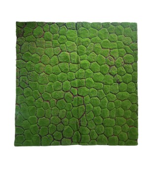  Tapis Moderne Velours Gazon Mur - 100x100cm