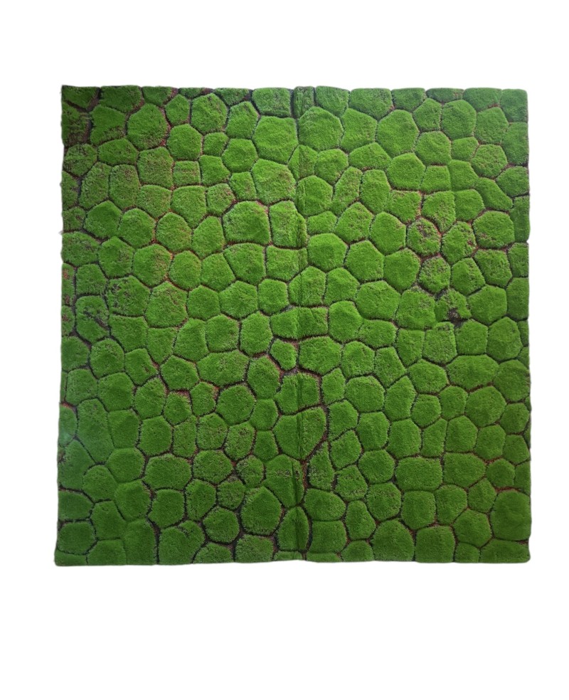 Tapis Moderne Velours Gazon Mur - 100x100cm