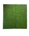 Tapis Moderne Velours Gazon Mur - 100x100cm