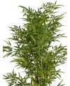 Plante Artificielle Bambou - H 1.5m