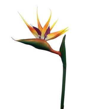  Fleur Artificielle Oiseau du paradis - 94cm