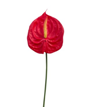  Fleur Artificielle Anthurium - H 70cm