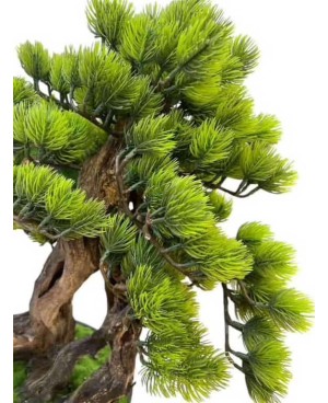 Plante Artificielle Bonsai avec pot