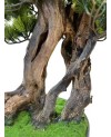 Plante Artificielle Bonsai avec pot