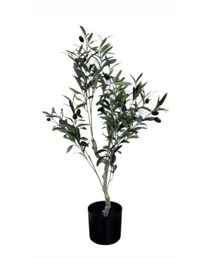  Petit Olivier avec Pot - 83cm