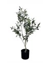 Petit Olivier avec Pot - 83cm