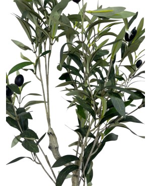 Petit Olivier avec Pot - 83cm
