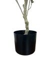 Petit Olivier avec Pot - 83cm