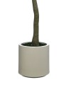 Plante Artificielle Olivier - H 2.4m