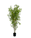Plante Artificielle Bambou - H 1.7m