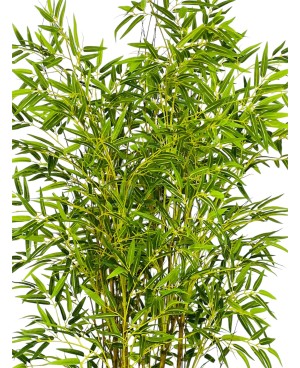 Plante Artificielle Bambou - H 1.7m
