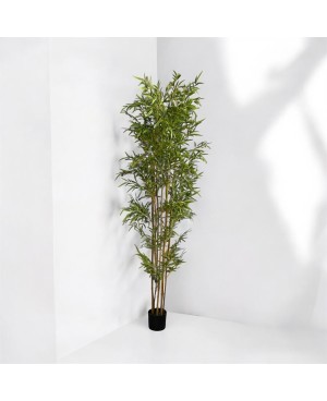 Plante Artificielle Bambou - H 2.1m