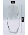 Vase ou Diffuseur en Cristal Transparent