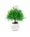 Plante Artificielle Basilic avec pot - 15.5cm