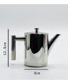 Théière en Inox 500ml avec Bec