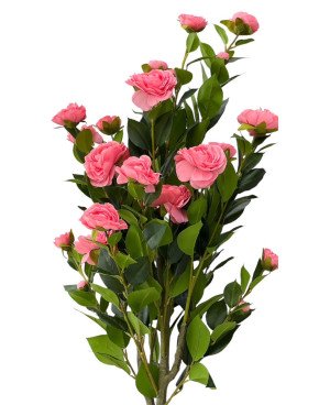  Arbre Artificiel Rose - H 120cm