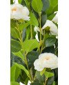 Arbre Artificiel Rose Blanche - H 120cm