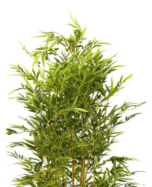 Plante Artificielle Bambou - H 210cm