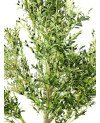 Arbre Artificiel - H2.6m