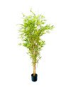 Plante Artificielle Bambou - H 155cm